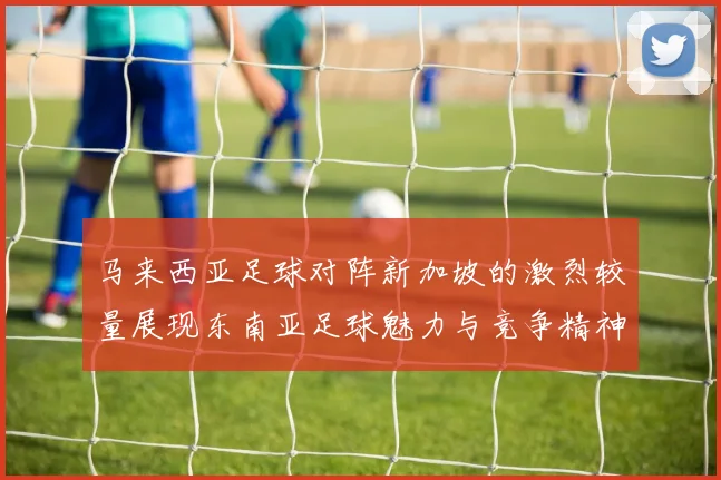 马来西亚足球对阵新加坡的激烈较量展现东南亚足球魅力与竞争精神