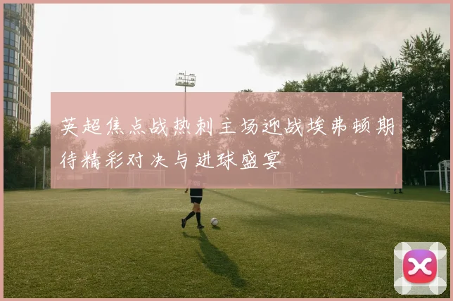 英超焦点战热刺主场迎战埃弗顿期待精彩对决与进球盛宴