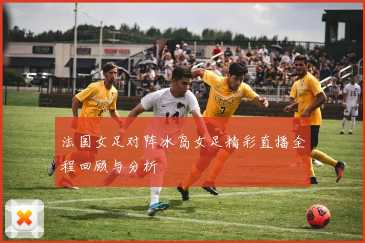 法国女足对阵冰岛女足精彩直播全程回顾与分析